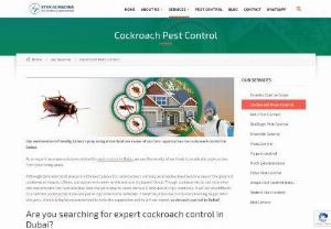 Cockroach Control in Dubai - Looking for cockroach control in Dubai? Madina Pest Control provide latest spray and it is highly recommended to take suggestion and help from expert cockroach control in Dubai.