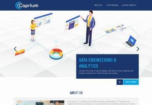 Web Application Development | Caprium Technologies - Caprium is a web development company which provides custom software development,  web applications,  web design and programming. Caprium uses agile methodology for web application development