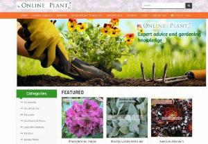 Online Plants - Onlineplants is Australia's first and largest online retail nursery,  selling plants at the cheapest prices to all retail customers across the country. We have over 3000 species of plants currently listed on our website,  and we are constantly adding to this list with additional plant images,  varieties and cultural information. Originally conceived in 2001,  onlineplants was initially a small retail outlet selling plants it produced through its own wholesale nursery. The website quickly took 
