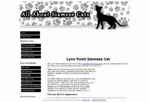 Lynx Point Siamese cat - Lynx Point Siamese cat is one of the variations of Siamese cat,  and its name comes from the fact that is has markings that are similar to those on a wild lynx. Know some interesting facts about Lynx Point Siamese Cat
