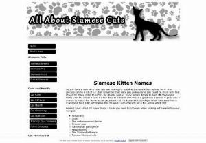 Siamese Kitten Names - Looking for Siamese kitten names? Choosing a name for a new kitten coming into the household can be very exciting. Here are some interesting Siamese kitten names that can be used for your new Siamese kitten