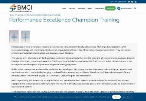 Performance Excellence Champion - BMGI Consulting