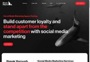 Best Social Media Marketing From SEO Shark - If you want to promote your business on social media such as Facebook,  Twitter and Google Plus then contact SEO Shark for cheap social media marketing services. The company increases social media presence through social media marketing.