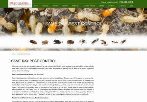 Same Day Pest Control - Same day pest control,  services,  pest Control Company in Maryland. Pest chase Same Day Service assurance call or mail for inspection.