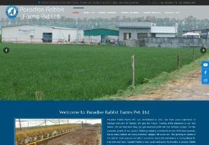 Rabbit Farming in India - Rabbit Farming in India