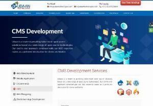Udaan - CMS (Content Management System) Website Design & Development Services - We deliver smarty created CMS (Content Management System) website design and development services within your budget. Visit us today and get it done for you now! 