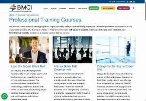 Screenshot of BMGI Consulting: Master Black Belt Development Program