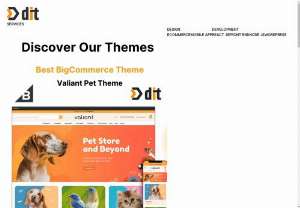 Ecommerce web developer - Dit Interactive have experience Ecommerce web developer. Those are create fully responsive and seo Friendly ecommerce web site.