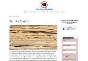 Termite Control Singapore - Effective White Ants Control Services - Having a termite problem? Pest Control Experts offers effective yet affordable termite control and extermination services you can trust. Contact Us today.