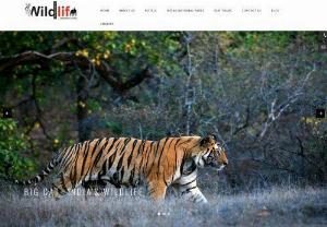Wildlife Destination In India - In case you are the normal life mate then you have to see Wildlife Destination In India. Nearly 60% of the world\'s tigers are found in our nation. Firmly regional,  tigers mark trees with their paws to make it clear to all gatecrashers: this area is mine.