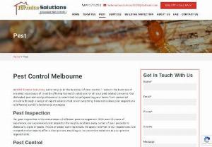 Pest control services Eltham - M&R Termite Solutions offer general pest control service such as Ant control,  spider control in Eltham and its surrounding suburbs. Call 0413716233 today!