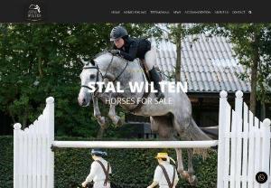 Horses for Sale - Stal Wilten - Horses for sale at Stal Wilten,  located in the Netherlands,  stand above the rest. At Stal Wilten,  success isn't an option; it's a necessity and we strive for perfection and nothing less.