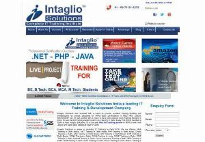 Intaglio Solutions Best Training Centre in Delhi Noida - Intaglio Solution is the best training place in Delhi Noida for CCNA,  SAS,  Cisco,  Java or PHP with best facilities.