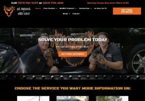 Exterminator Tampa - Animal Removal - Providing Rodent Control,  Bee Removal,  Bed Bug Extermination,  Wildlife Removal,  Rat Removal,  Raccoon Removal,  Wild Hog Removal,  Attic Restoration,  Animal Exclusion in Tampa,  St. Petersburg,  & Clearwater FL.