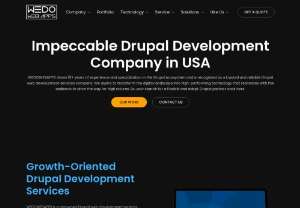 Drupal Development Company - WeDoWebApps is largest drupal development company delivering valuable software using drupal development services which is best for your business
