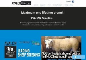 Avalon Genetics - Avalon Genetics is a family owned organic farm of 12,500 sheep and beef stock units. We span two properties,  Bonnieview and Avalon,  located near Heriot,  West Otago,  New Zealand.