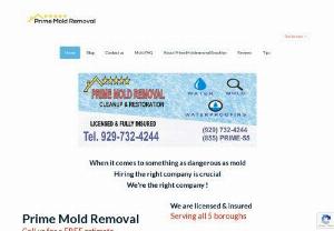 Prime Mold Removal | NYC best mold remediation , inspection & cleanup - Prime Mold Removal - Brooklyn top mold remediation , mold cleanup , mold repair & mold inspection . Call for a free estimate for any mold project.