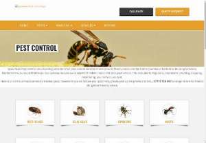Pest control services - Pests in a home always hassle everyone,  either that was a child or the elder one. And these Pests spread disease in between us. So if you are exploring for pest control service,  then Spearhead Pest Control is a place where you'll get the solution for your problem.
