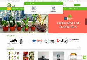 Buy Plants,  Pots,  Seeds and Garden accessories online at Setgreen | Best Plant nursery and home delivery in Hyderabad - Setgreen provides wide range of plants,  seeds,  pots & planters,  flowers,  garden accessories and compost online across Hyderabad,  with home delivery services.