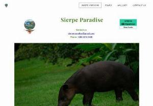 Sierpe Paradise - Activities tours
