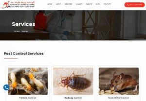 Exterminator Dubai | Top Cleaning services Dubai - We are leading House cleaning & pest control company in Dubai and all of UAE. Call our professional experts to find out more of Exterminator Dubai services.