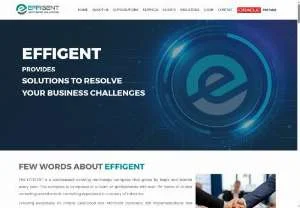 Screenshot of Effigent solutions | Effigent software solutions