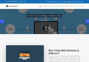 TriCity Web Solutions - Tricity websolutions is the best Web design Company in Chandigarh,  Panchkula and Mohali. We are team with latest techniques for enhancing the business growth of our client in the world with our high quality creative Design and Development stuff.