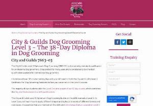 Advance Dog Grooming Course Including City & Guilds Level 3 Diploma - This course allows you to learn, practice and become competent in the skills required for a commercial dog groomer, including clipping, scissor use and techniques, body, feet, tail and head shapes and styles, hand-stripping, and a whole lot more. This course includes all the components of City & Guilds Level 3 dog grooming diploma.