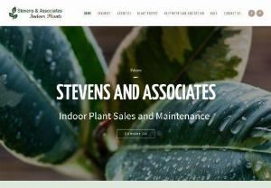 Professional Indoor Plant Care Service | stevensplantcare - We are a complete plant care service company in Orange County CA, providing a full range of quality indoor plants and office plant service at an affordable price.
