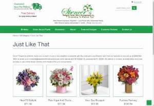 Flower Shop Jacksonville - Just Like That Flowers - FlowerShoppe - If you are looking for Just Like That flower arrangements and gifts in the Jacksonville FL area then look no further! Spencer's Florist has many unique products and elegant designs to choose from.
