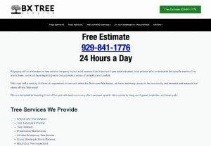 Bxtreeservice - BX Tree Trimming & Removal | Local Tree Removal and Cutting Service in Bronx