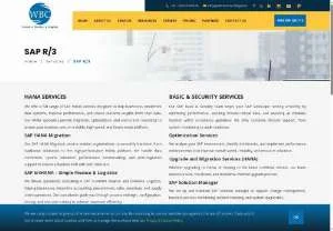 Screenshot of SAP R/3 | WBC Software Lab Consulting