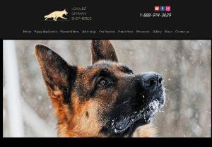 Loyalist German Shepherds - We are a small breeder located in the Kingston Ontario area and located on 20 acres  of land, where are dog are free to roam using proximity collars. Our dogs have wide open spaces and are not confined . We strive to give our dogs the best lives we can offer them.