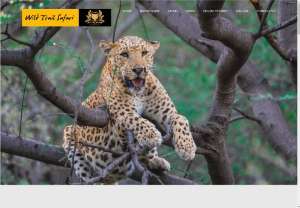 Jhalana panther safari booking |leopard safari Jaipur|Wildlife in Jaipur - Wild Trail Safari is one of the top Jhalana panther safari,Jhalana Jaipur safari,Online booking for Jhalana safari service provider in Jaipur. 