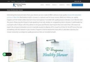Mold Removal Service - Experience a professional shower re-caulking service in New York. Contact us for commercial and residential shower re-caulking and restoration services. Our experts also deliver the best shower restoration services using high-quality products. 
