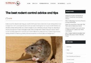 Rodent Pest Control: Tips and Guidelines - The main issue as per dead rodent removal and rodent pest control is you need to go elsewhere to set them free which implies they can finish up in another person's home or even yours once more.