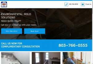 Best Black Mold Removal Columbia SC - 