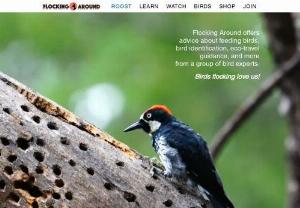 Flocking Around - Flocking Around is a group of bird people doing bird things. We highlight our adventures in a bird and wildlife blog. We also sell birding related items to help show off your amazing accomplishments.