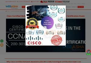Best CCNA Routing & Switching Training Institute & Certification Center in Pune. Class, Course, Exam Fee - Call 8010911256 WebAsha Provides Best CISCO CCNA Routing & Switching Certification Training & Exam in Pune. get course details, certification cost, fees, syllabus, duration, batch timings, Best real time CCNA training and certification on Router & Switch from industry expert in Pune, India, CCNA training institute in Pune.