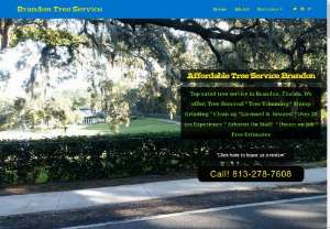 Brandon Tree Service - A fully licensed & insured tree service company in Brandon and Tampa area. We have over 20 years of experience in all types of tree removal, tree trimming, stump grinding, storm damage, land clearing and emergency tree work.