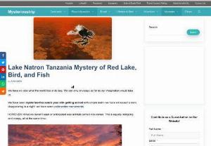 Lake natron - Offering travel blogs to visitors who are interested in mysteries.