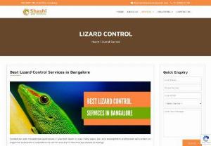 Best Lizard Control Bangalore - Avail the best offers and discounts by choosing Shashi Pest control best for lizard control services.