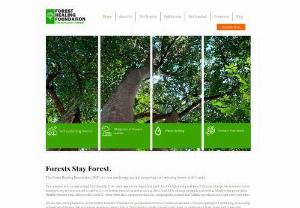 Forest Healing Foundation - A non-profit organization focused on conservation and reforestation of forests in Sri Lanka. The Forest Healing Foundation is an initiative by owners of Polwaththa Eco Lodges and the Pepper Cottage in Kandy, Sri Lanka