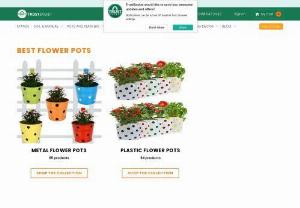 Buy Flower Pots Online in India | Trust Basket - Grab the latest offers on a large collection of beautiful flower pots online for balcony/outdoor decoration. Order supreme quality fancy flower pots with doorstep delivery at Trust Basket.