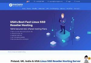 Linux SSD Reseller Web Hosting USA - We at Hostripples offer 100% Secured SSD cPanel Hosting Plans which will suit all your needs. These plans comes with Unlimited Bandwidth and Free Let's Encrypt SSL certificate. You will also get the benefit of having local server at India, UK, Poland and USA.

If you choose your location as per your visitor's then ultimately it will increase the website loading speed and also decrease the latency for your website.

Features to look for:

Free Domain Name If Paid Annually
99.9% uptime
