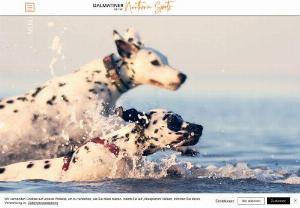 Dalmatiner of the Northern Spots - Our dogs live together with us in the beautiful Friesland on an idyllic, family-owned Resthof, in the middle of nature. As breeding target of the 