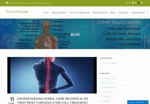 Understanding spinal cord injuries and its treatment through stem cells - Injuries of a spinal cord can be depicted as either complete or fragmented. In a complete spinal cord injury, there is the entire loss of sensation and muscle work in the body underneath the injury level. Stem Cell Centre is a leading in providing Best Stem Cell Therapy in India We are one of the most trusted companies in India which has expertise in providing best Stem cell treatment in Uttar Pradesh, Delhi NCR.
