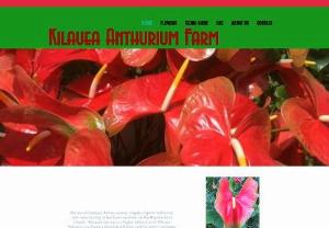Kilauea Anthurium Farm - Kilauea Anthurium Farm is a 5 acre anthurium farm on the Big Island of Hawaii.  We specialize in wholesale cut flowers available for purchase locally or we can ship anywhere in the United States.