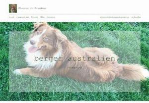 Breeding of the Sourdant - sale of Australian Shepherd puppy with pedigree of srsh. The name is breeding deaf, business / farm located in Ciney, Fays - Achne
