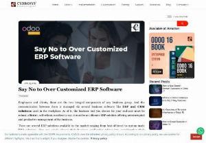 Say No to Over Customized ERP Software - Over-customized ERP can cost huge business costs alongside the risk of damaging the standard workflow of the ERP framework.